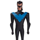Illustration for article titled The Next Wave Of Animated Batman Figures Comes With An Awesome Nightwing